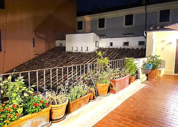 Terraces Under The Moon
